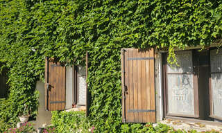 Photo N° 2