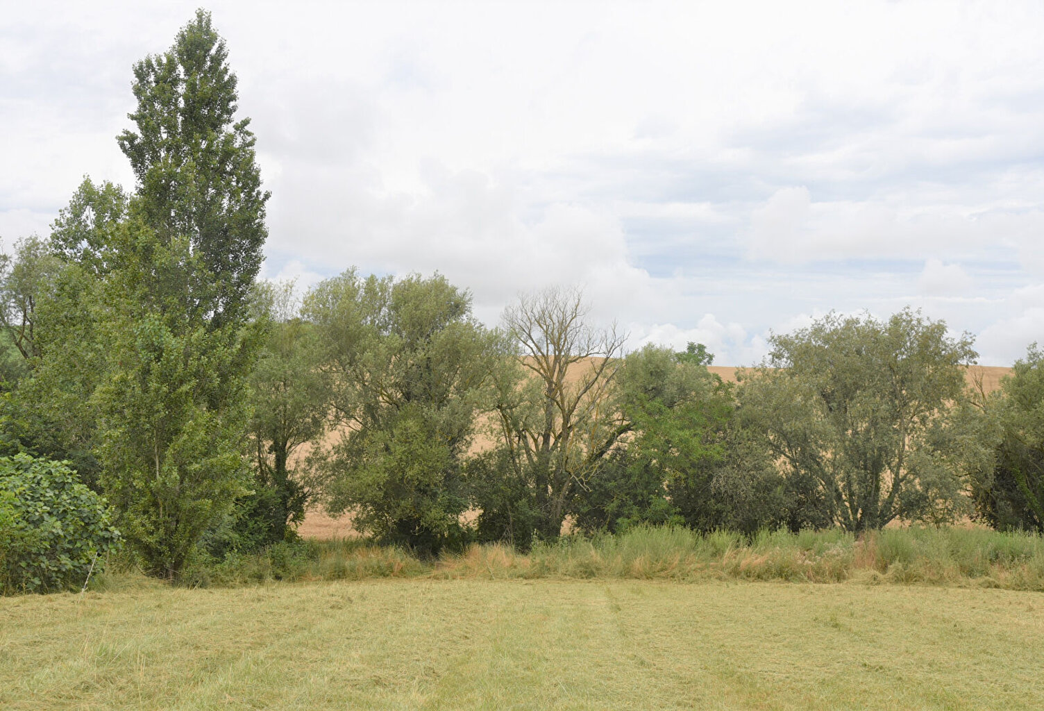 Rabastens proche Face à la campagne beau terrain viabilisé de 1026 m2 — photo 1