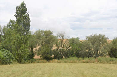 Terrain  85000 €