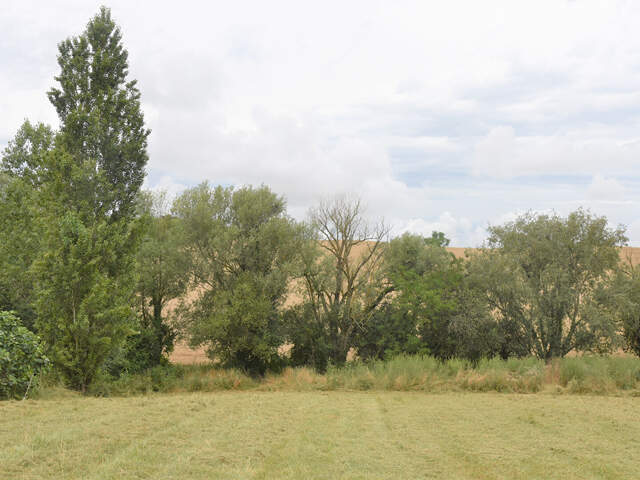 Rabastens proche Face à la campagne beau terrain viabilisé de 1026 m2 — photo du bien