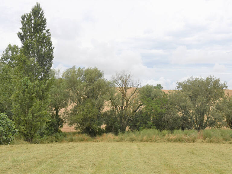 Rabastens proche Face à la campagne beau terrain viabilisé de 1026 m2 — photo 1