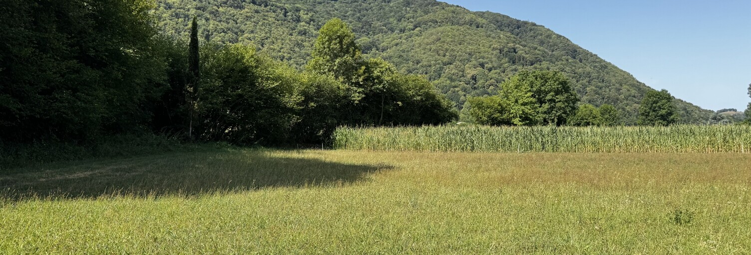Terrain  1000 m² à vendre à Saint-Pé-de-Bigorre (65270)