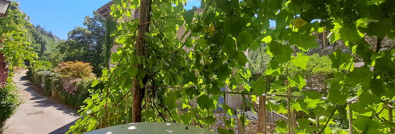 Maison 4 Pièces 80 m² à vendre à Vialas (48220)