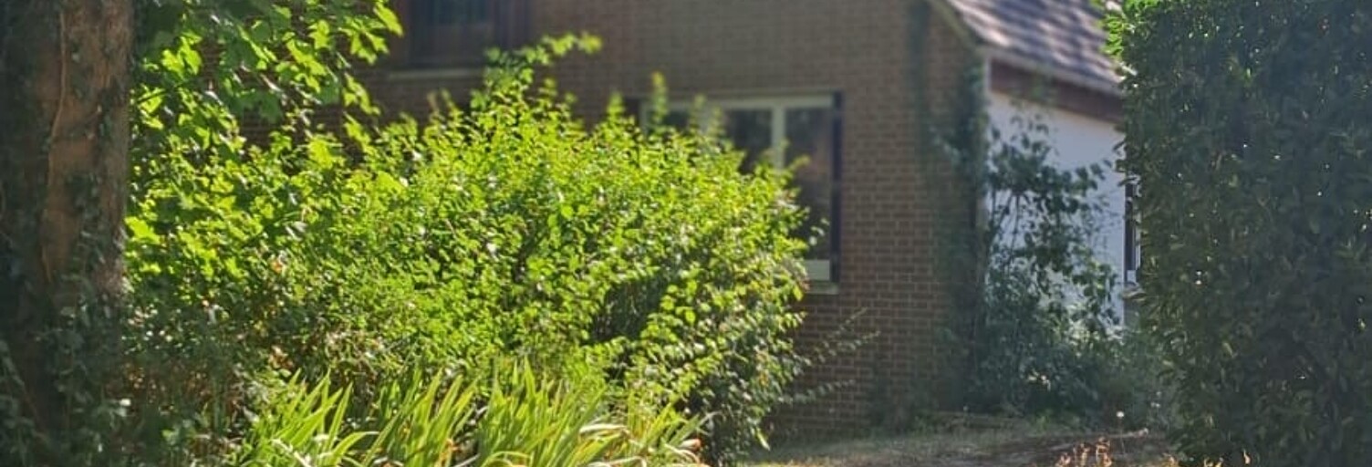 Photo N° 2