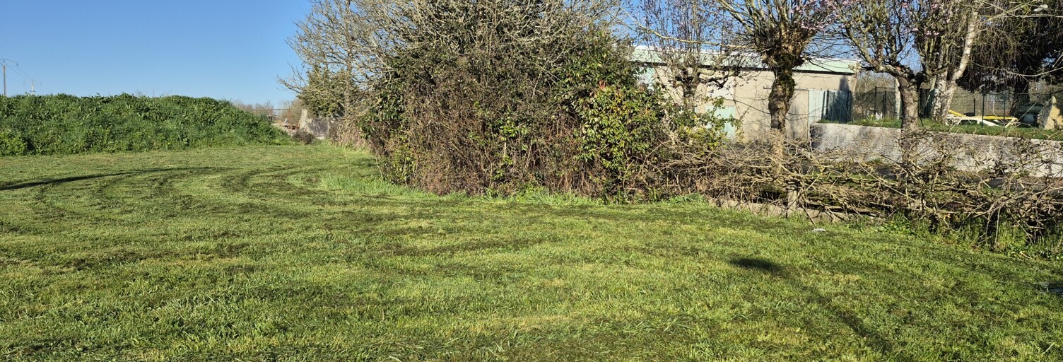 Photo N° 2
