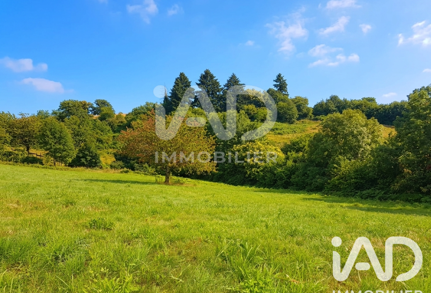 Vente Terrain à bâtir 2 800 m&sup2; — photo 1