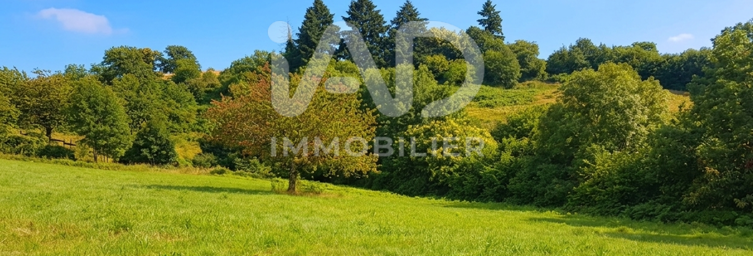 Terrain  2800 m² à vendre à Beaumont (19390)