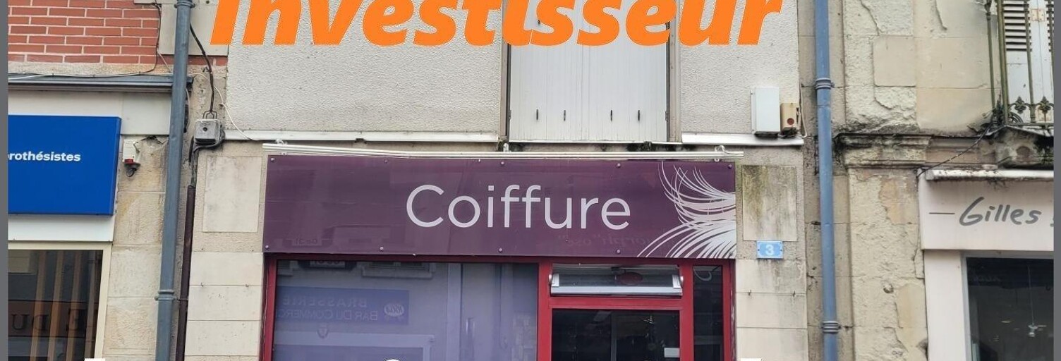 Commerce 3 Pièces 67 m² à vendre à Descartes (37160)