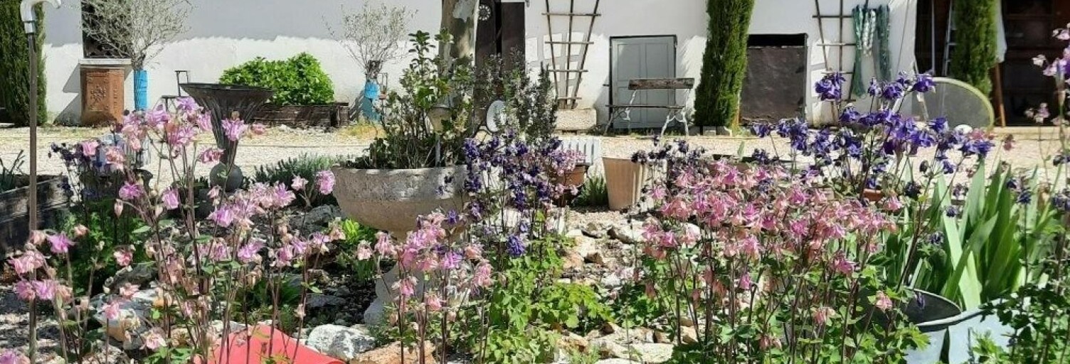 Photo N° 2