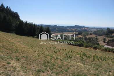 Terrain  29000 €