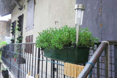 Appartement 1 pièces 403 €