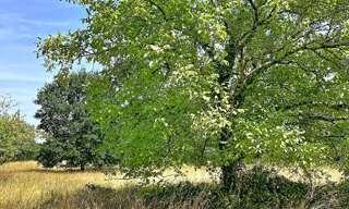 Terrain  2452 m² à vendre à Noyers-sur-Cher (41140)