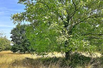Terrain  30000 €