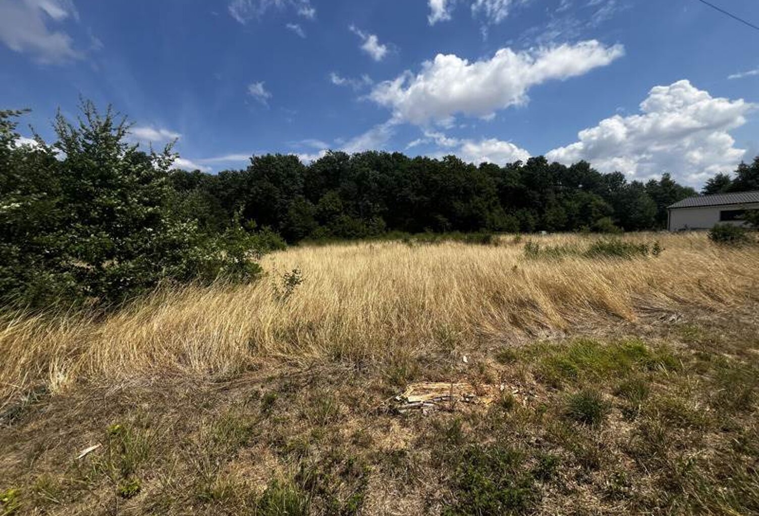 Forêt de 0 pièces principales — photo 1