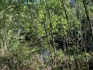 Terrain agricole — photo 2