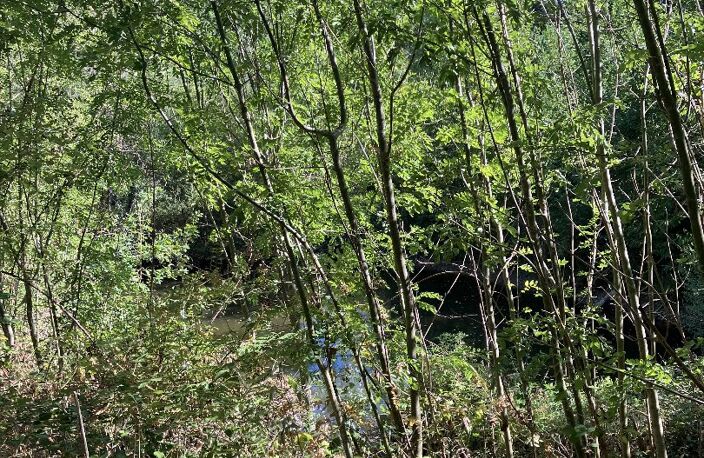 Terrain agricole — photo 2