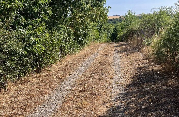 Terrain agricole — photo 3