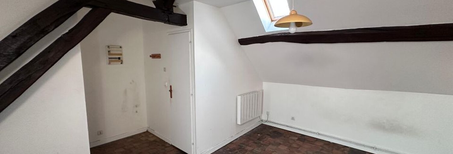 Appartement 1 Pièce 21 m² à louer à Châtillon-sur-Loire (45360)
