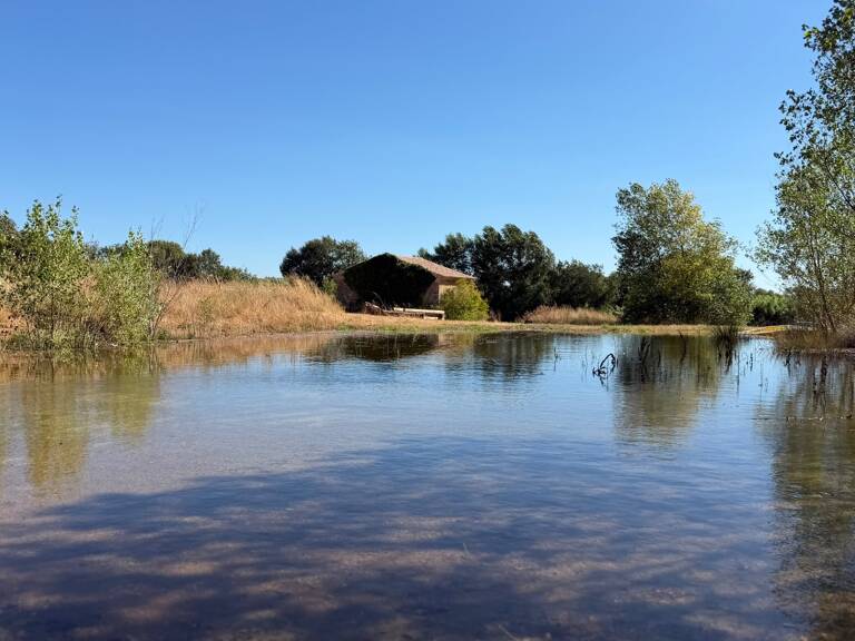 Terrain avec Mazet à vendre  LE POUGET (34), GIGNAC — photo 1