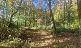 Terrain  12555 m² à vendre à Lagrange (40240)