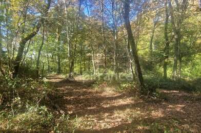 Terrain  23000 €
