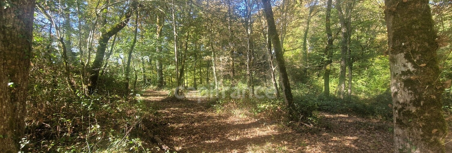 Terrain  12555 m² à vendre à Lagrange (40240)