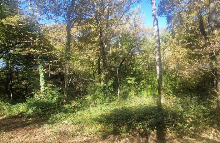 Bois à vendre, LAGRANGE (40) — photo 4