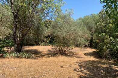 Terrain  210000 €