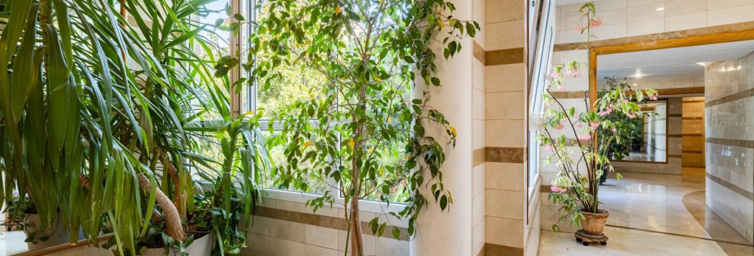Appartement 3 Pièces 74 m² à vendre à Sèvres (92310)