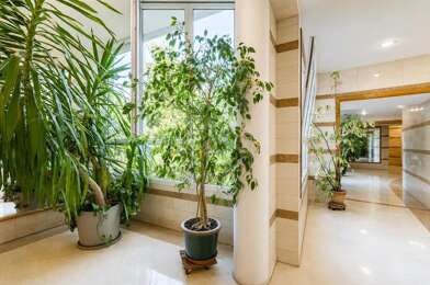 Appartement 3 pièces 431000 €