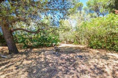 Terrain  249000 €
