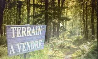 Terrain  20000 m² à vendre à Sagy (71580)