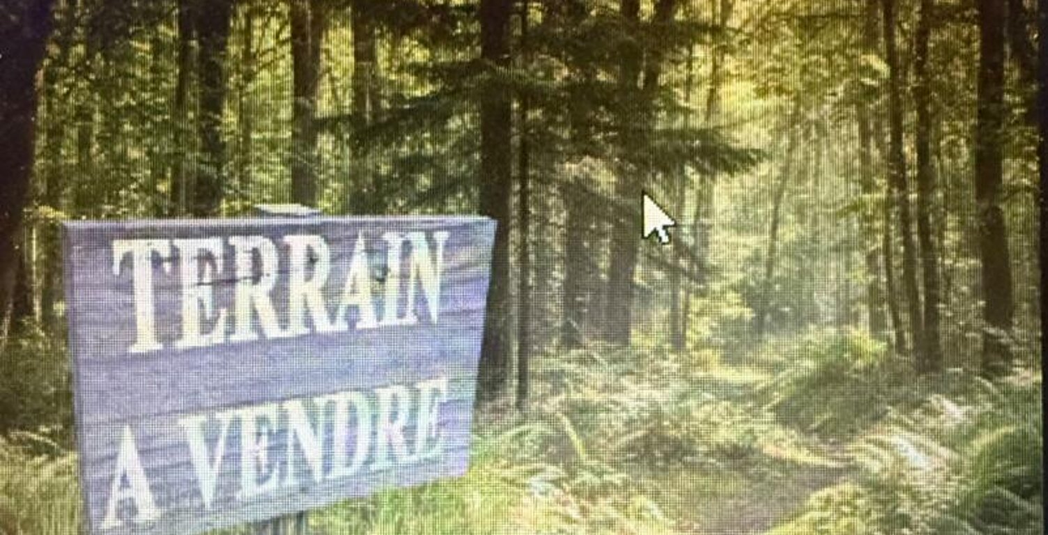 Terre agricole en champs en pré  bois et taillis à Sagy Bruailles Frangy en Bresse  et Sens sur Seille — photo 1