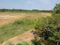 Terre agricole en champs en pré  bois et taillis à Sagy Bruailles Frangy en Bresse  et Sens sur Seille — photo 3