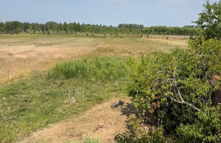 Terre agricole en champs en pré  bois et taillis à Sagy Bruailles Frangy en Bresse  et Sens sur Seille — photo 3