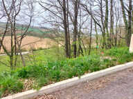 Terrain Avezan 2735 m2 — photo 2