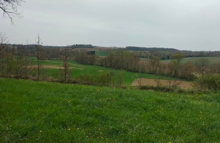 Terrain Avezan 2735 m2 — photo 4