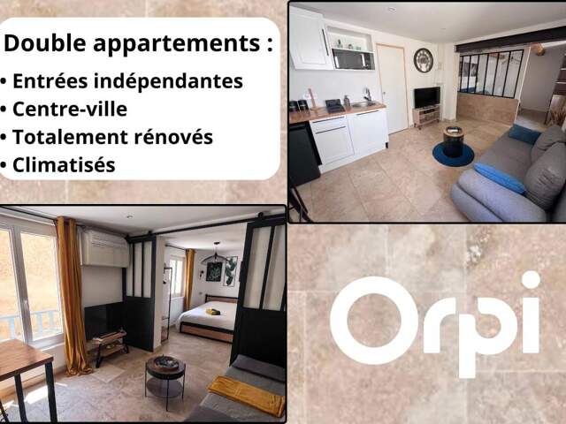 Double appartement à vendre entrées indépendantes — photo du bien