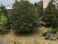 Appartement 4 pièces à vendre à Compiègne - Réf. C2386 — photo 4
