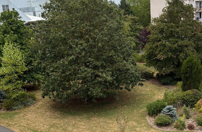 Appartement 4 pièces à vendre à Compiègne - Réf. C2386 — photo 4