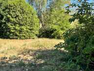 Tres belle opportunité sur Gien. — photo 4