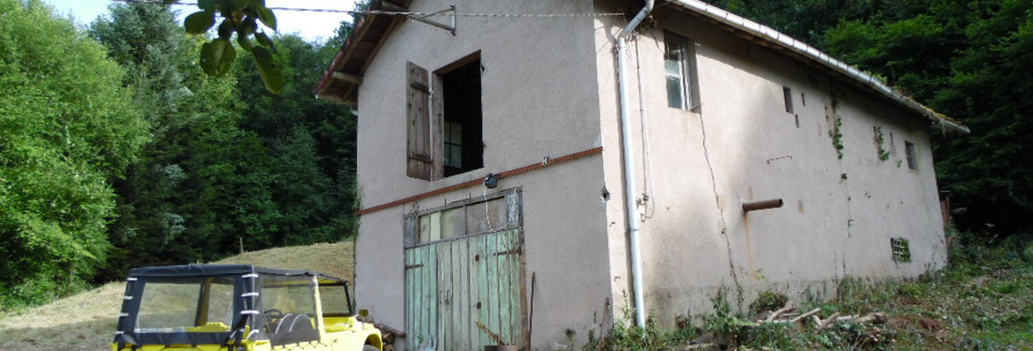 Maison 2 Pièces 40 m² à vendre à Senones (88210)