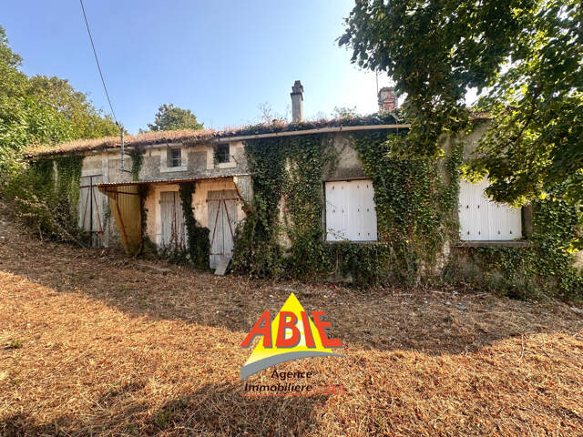 Maison à rénover entièrement   Xanton-Chassenon — photo du bien