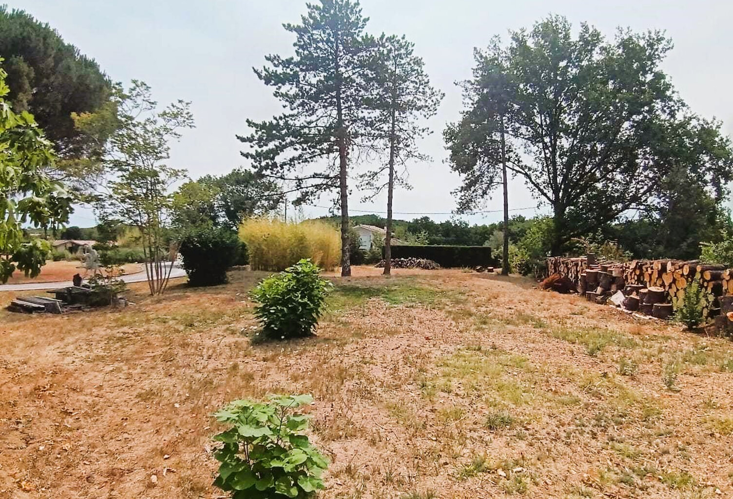 Rabastens Trés beau terrain arboré  en diffus de 1110m2 — photo 1