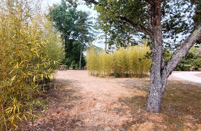 Rabastens Trés beau terrain arboré  en diffus de 1110m2 — photo 3
