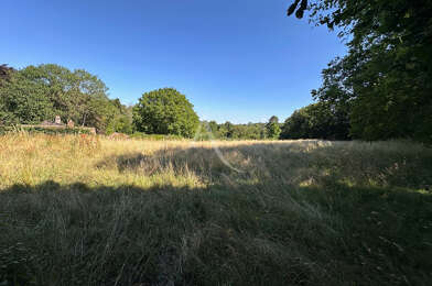 Terrain  16000 €