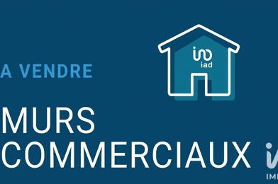 Commerce  234000 €