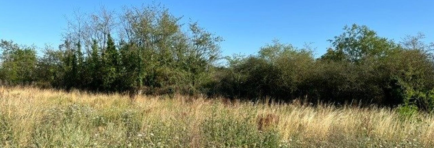 Terrain  559 m² à vendre à Cernay (68700)