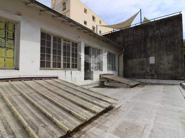 NICE LIBERATION — photo du bien
