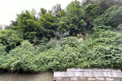 Terrain  50000 €